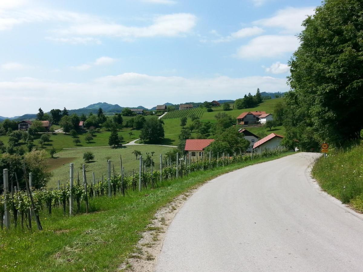 Hiska Marjetica Podčetrtek